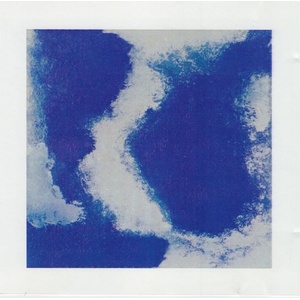 Adam Berenson album cover