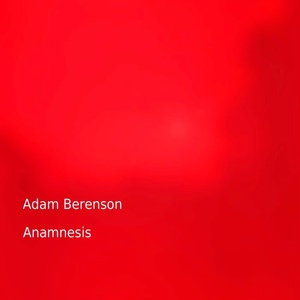 Anamnesis album cover