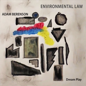 Environmental Law album cover