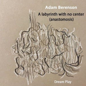 A labyrinth with no center album cover